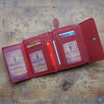 Geldbörse mit RV Albany