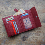 Geldbörse mit RV Albany